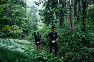 BIB: 
                            <button type="button" onclick="openModal(26359290)" class="btn btn-primary btn-sm float-right btn-popup" data-toggle="modal" data-target=".modal-high-quality">
                        <i class="fas fa-shopping-cart"></i> Add to Cart
                    </button>
                                            <button type="button" onclick="isThisMe(26359290, true)" class="btn btn-success btn-sm float-right btn-popup btn-isme hidden" data-toggle="tooltip" data-placement="bottom" title="นี่คือรูปของคุณใช่ไหม คลิกที่นี่เพื่อเอาเข้าอัลบั้ม">
                        <i class="fas fa-plus"></i> Add to album
                    </button>
                    <button type="button" onclick="isThisMe(26359290, false)" class="btn btn-warning btn-sm float-right btn-popup btn-isnotme hidden">
                        <i class="fas fa-ban"></i> Remove from album
                    </button>